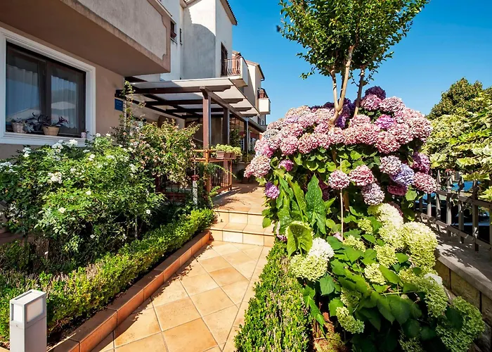 Apartments Branko