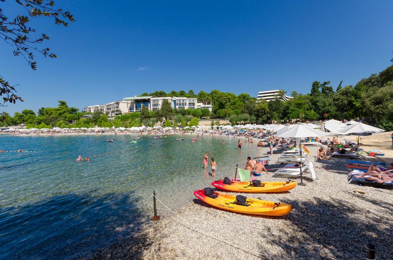 Apartament Branko *