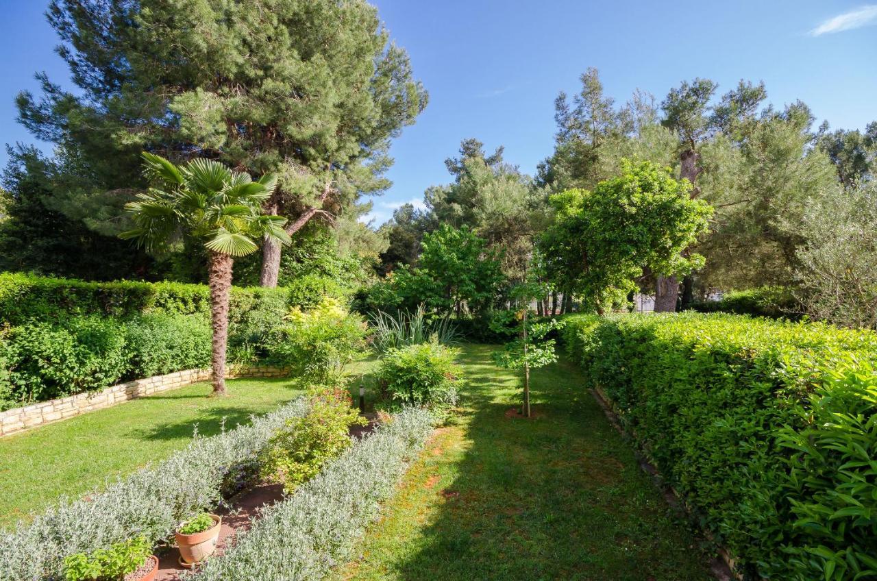 Branko Apartament