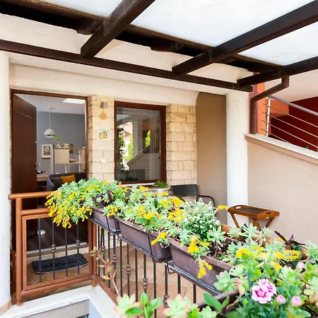 Apartments Branko Rovinj Exterior photo