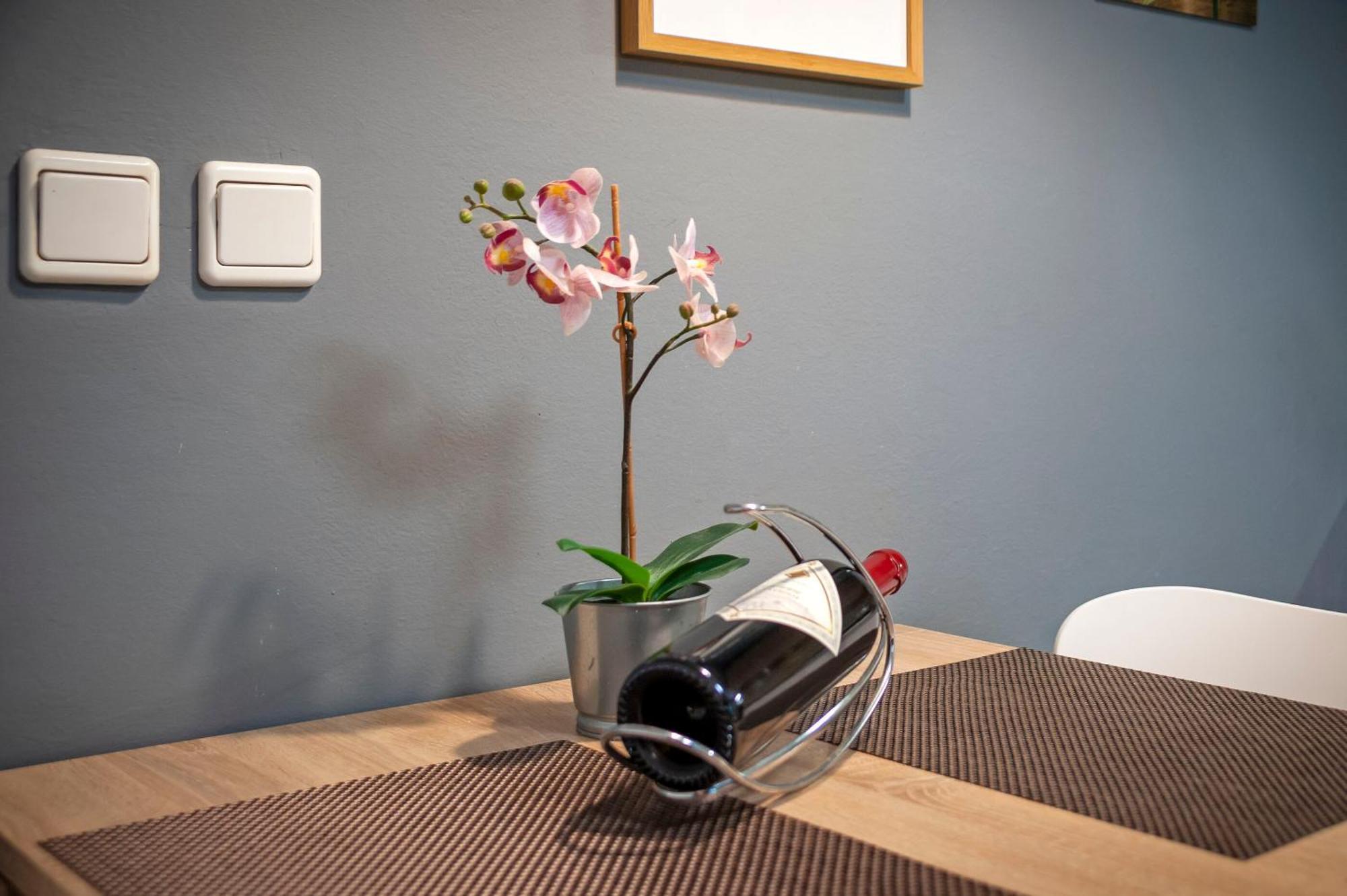 Apartament Branko *